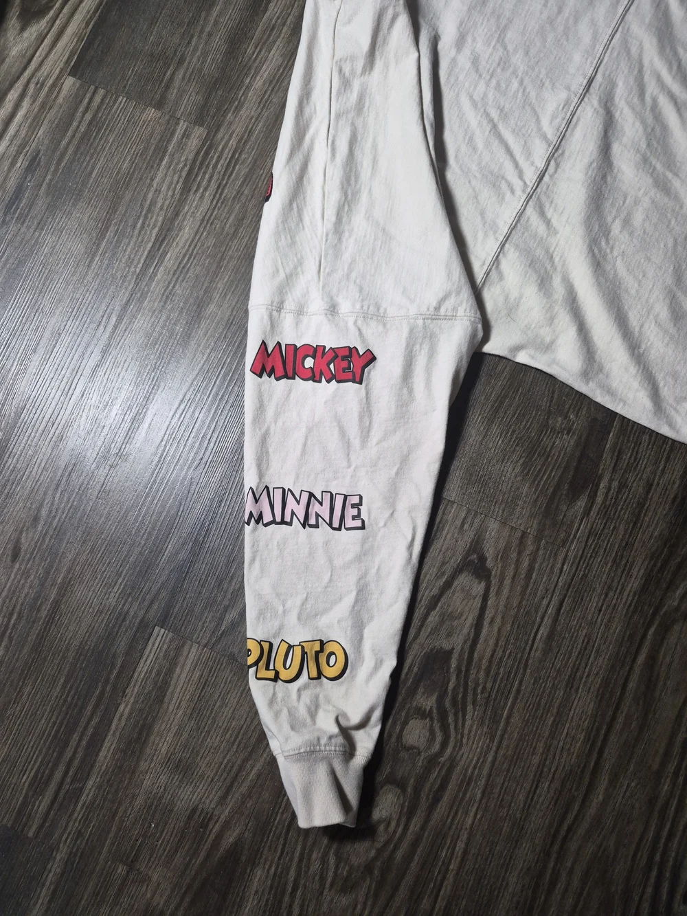 PALACE shoe disney